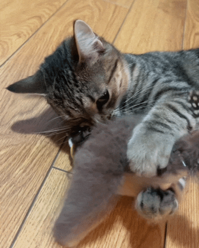 Maviglow™ Chase Bird