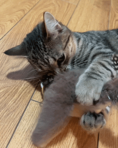 Maviglow™ Chase Bird