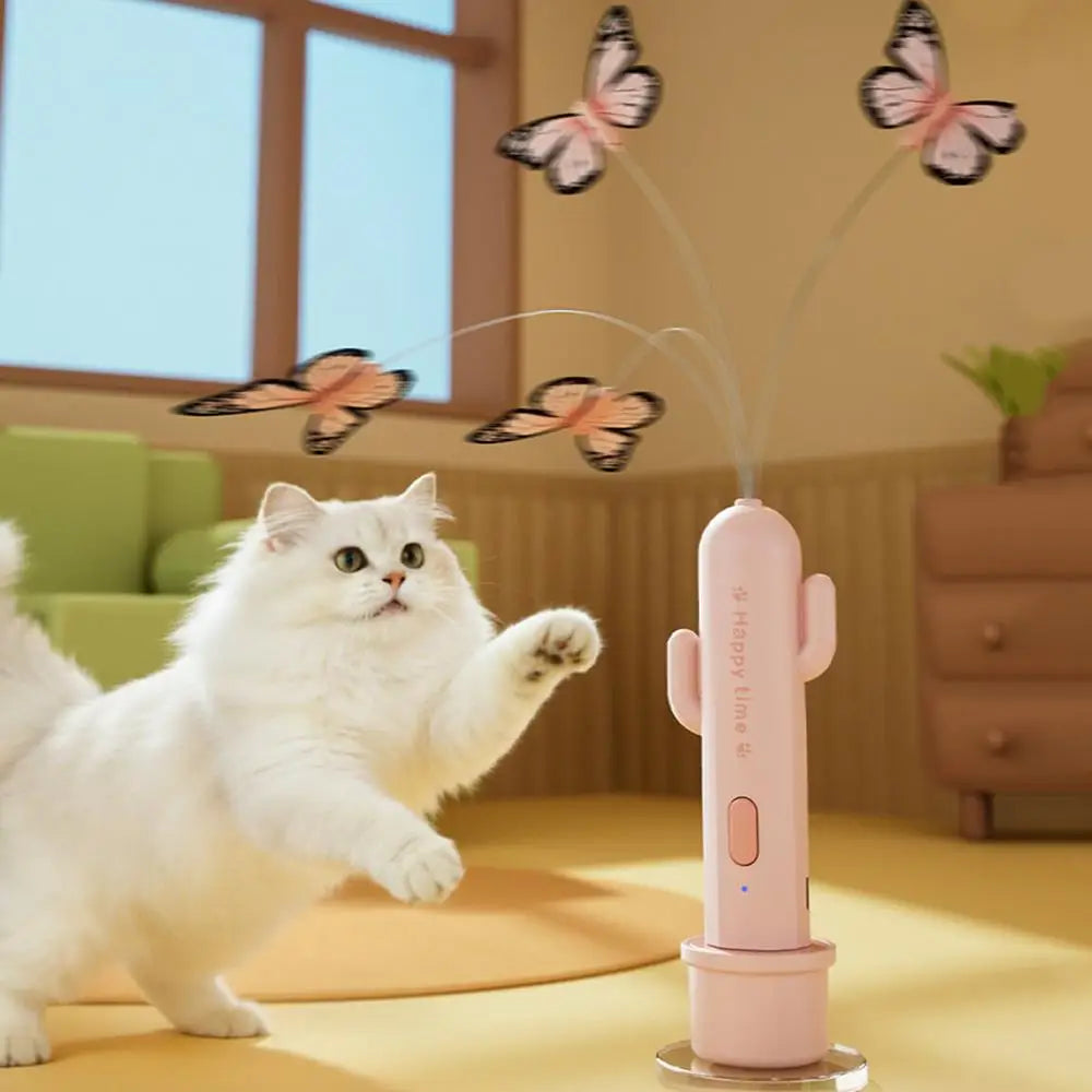 Auto-Chase Cactus Cat Teaser