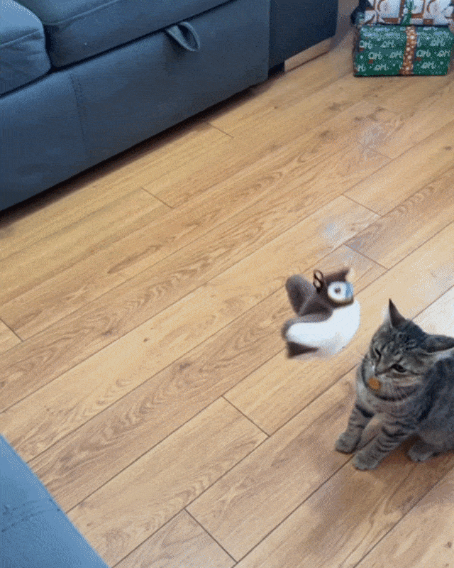 Maviglow™ Chase Bird